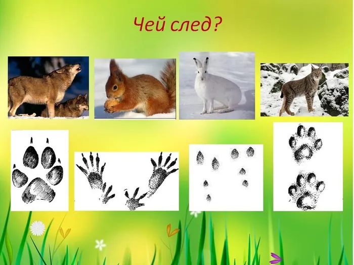 пришвин 25